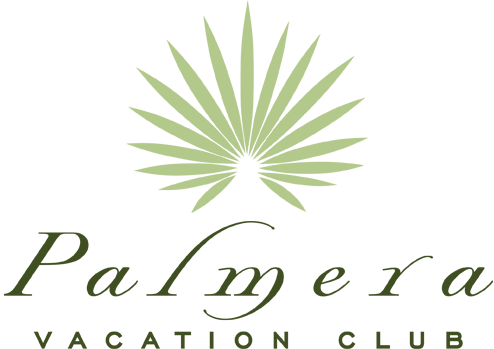PALMERA_LOGO_web